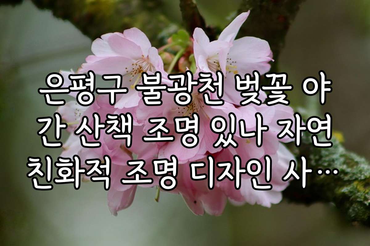 은평구 불광천 벚꽃 야간 산책 조명 있나 자연친화적 조명 디자인 사례 연구 은평구 불광천 벚꽃 야간 산책 조명 있나 자연친화적 조명 디자인 사례 연구