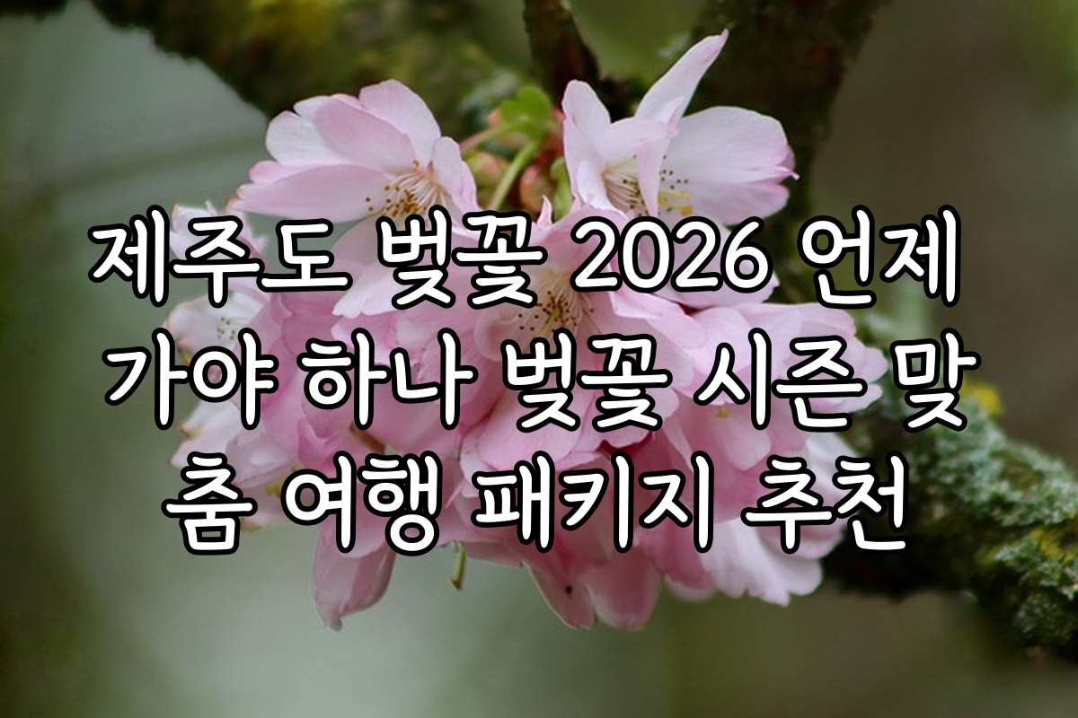 제주도 벚꽃 2026 언제 가야 하나 벚꽃 시즌 맞춤 여행 패키지 추천