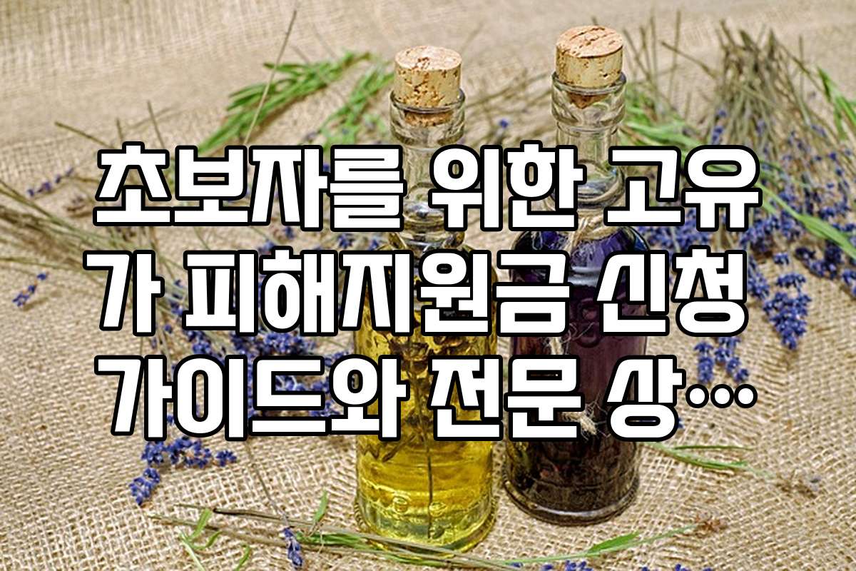 초보자를 위한 고유가 피해지원금 신청 가이드와 전문 상담의 핵심 포인트