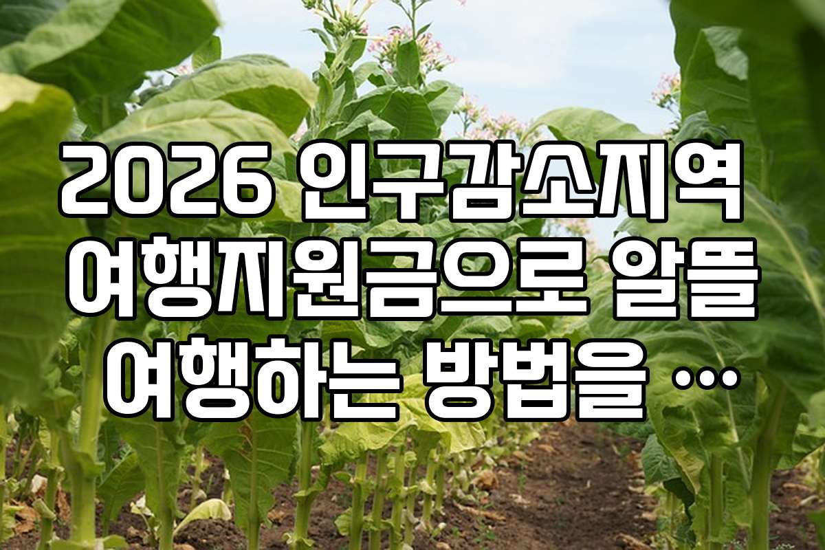 2026 인구감소지역 여행지원금으로 알뜰 여행하는 방법을 알아보자