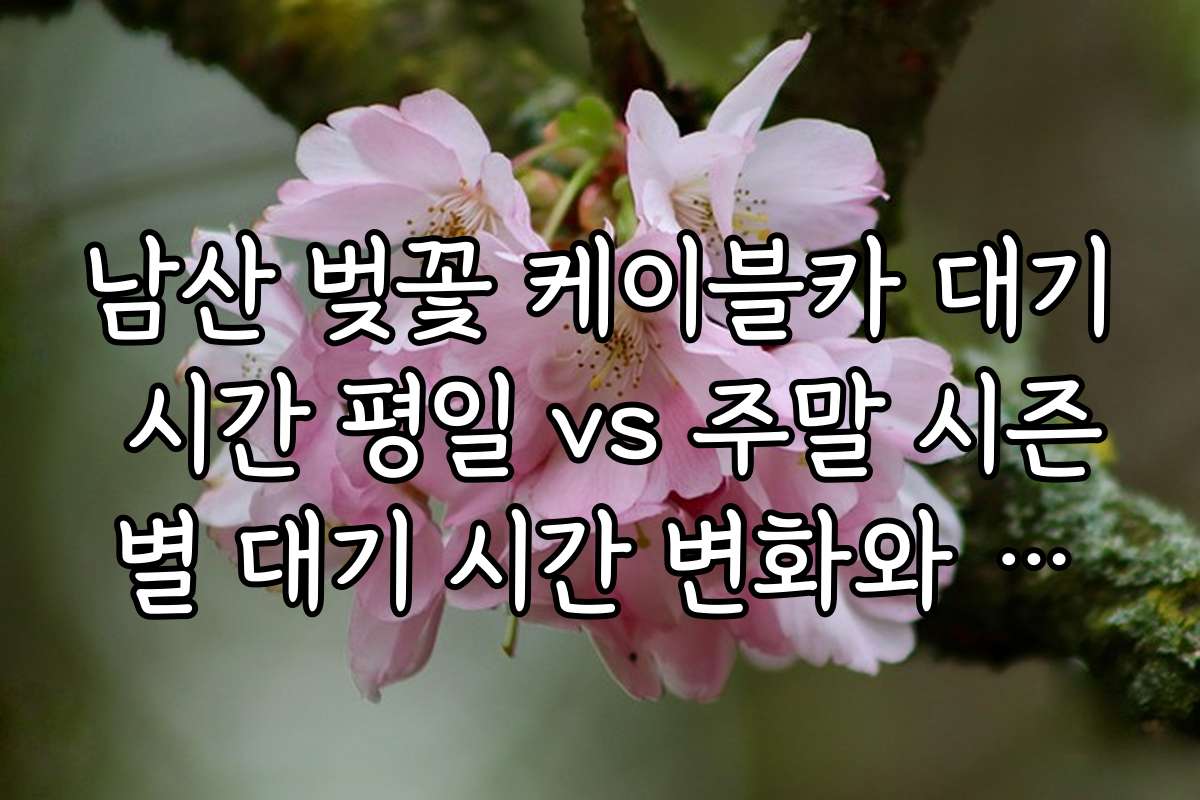 남산 벚꽃 케이블카 대기 시간 평일 vs 주말 시즌별 대기 시간 변화와 방문 계획 세우기 남산 벚꽃 케이블카 대기 시간 평일 vs 주말 시즌별 대기 시간 변화와 방문 계획 세우기