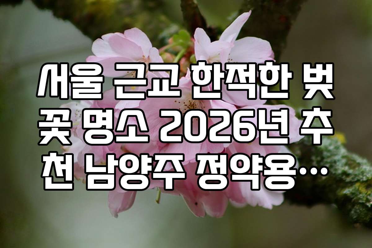 서울 근교 한적한 벚꽃 명소 2026년 추천 남양주 정약용유적지