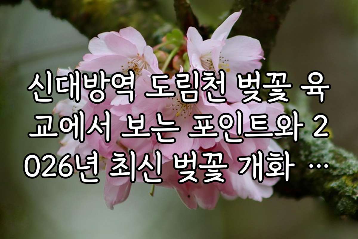 신대방역 도림천 벚꽃 육교에서 보는 포인트와 2026년 최신 벚꽃 개화 시기
