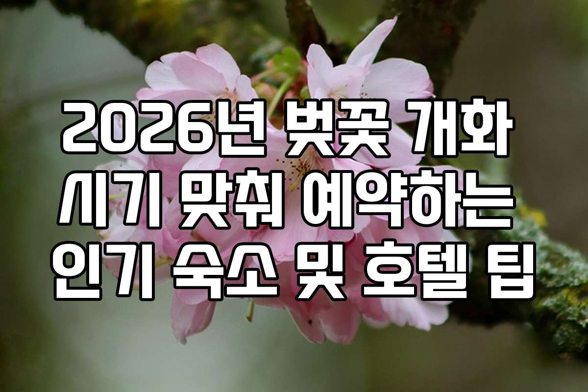 2026년 벚꽃 개화 시기 맞춰 예약하는 인기 숙소 및 호텔 팁