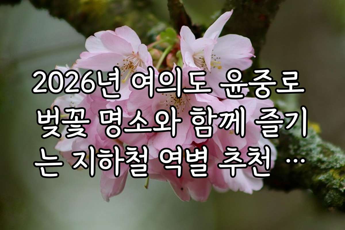 2026년 여의도 윤중로 벚꽃 명소와 함께 즐기는 지하철 역별 추천 코스와 출구 위치