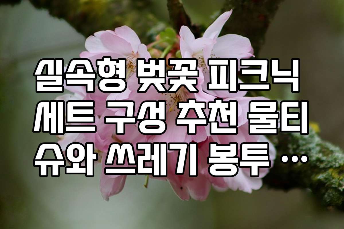 실속형 벚꽃 피크닉 세트 구성 추천 물티슈와 쓰레기 봉투 필수 실속형 벚꽃 피크닉 세트 구성 추천 물티슈와 쓰레기 봉투 필수