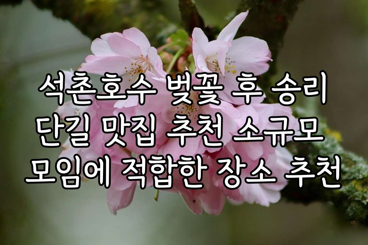 석촌호수 벚꽃 후 송리단길 맛집 추천 소규모 모임에 적합한 장소 추천