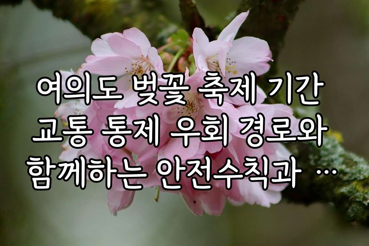 여의도 벚꽃 축제 기간 교통 통제 우회 경로와 함께하는 안전수칙과 사고 예방법