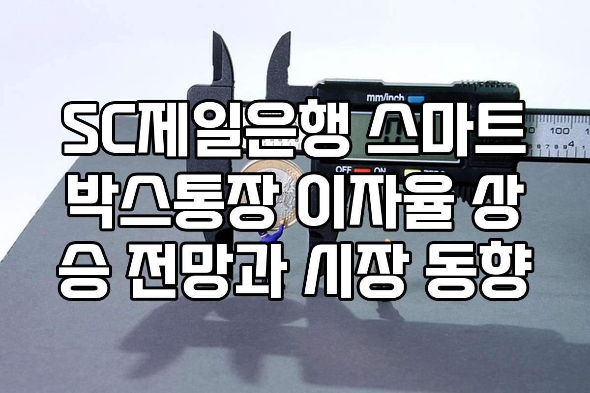 SC제일은행 스마트박스통장 이자율 상승 전망과 시장 동향 SC제일은행 스마트박스통장 이자율 상승 전망과 시장 동향
