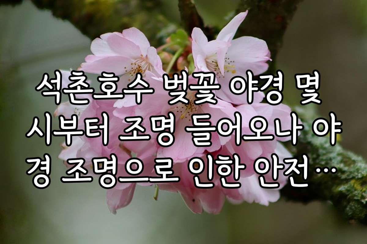 석촌호수 벚꽃 야경 몇 시부터 조명 들어오나 야경 조명으로 인한 안전 수칙과 방문 시 유의점 석촌호수 벚꽃 야경 몇 시부터 조명 들어오나 야경 조명으로 인한 안전 수칙과 방문 시 유의점