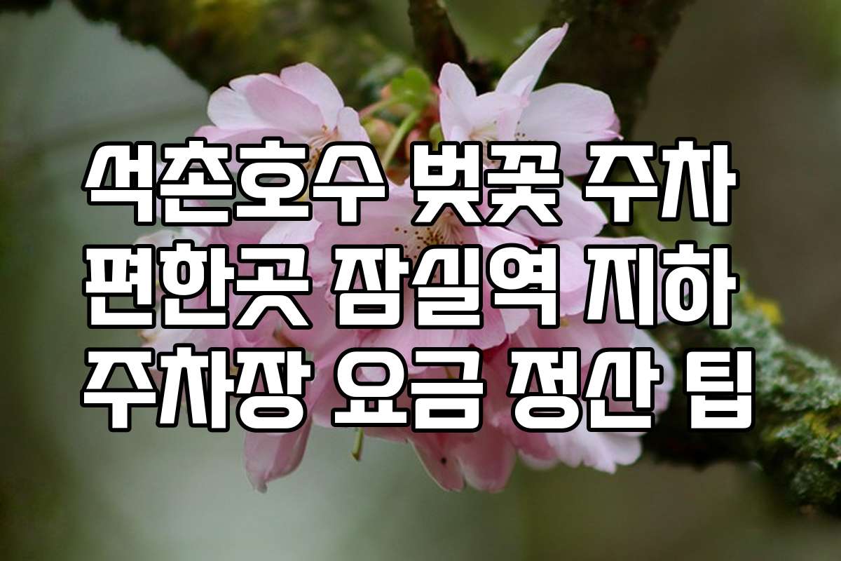 석촌호수 벚꽃 주차 편한곳 잠실역 지하 주차장 요금 정산 팁