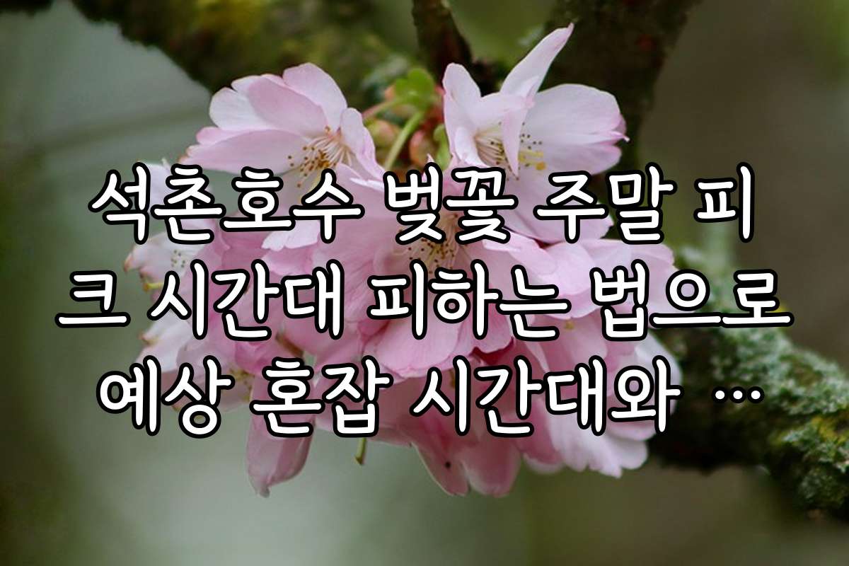 석촌호수 벚꽃 주말 피크 시간대 피하는 법으로 예상 혼잡 시간대와 피하는 전략
