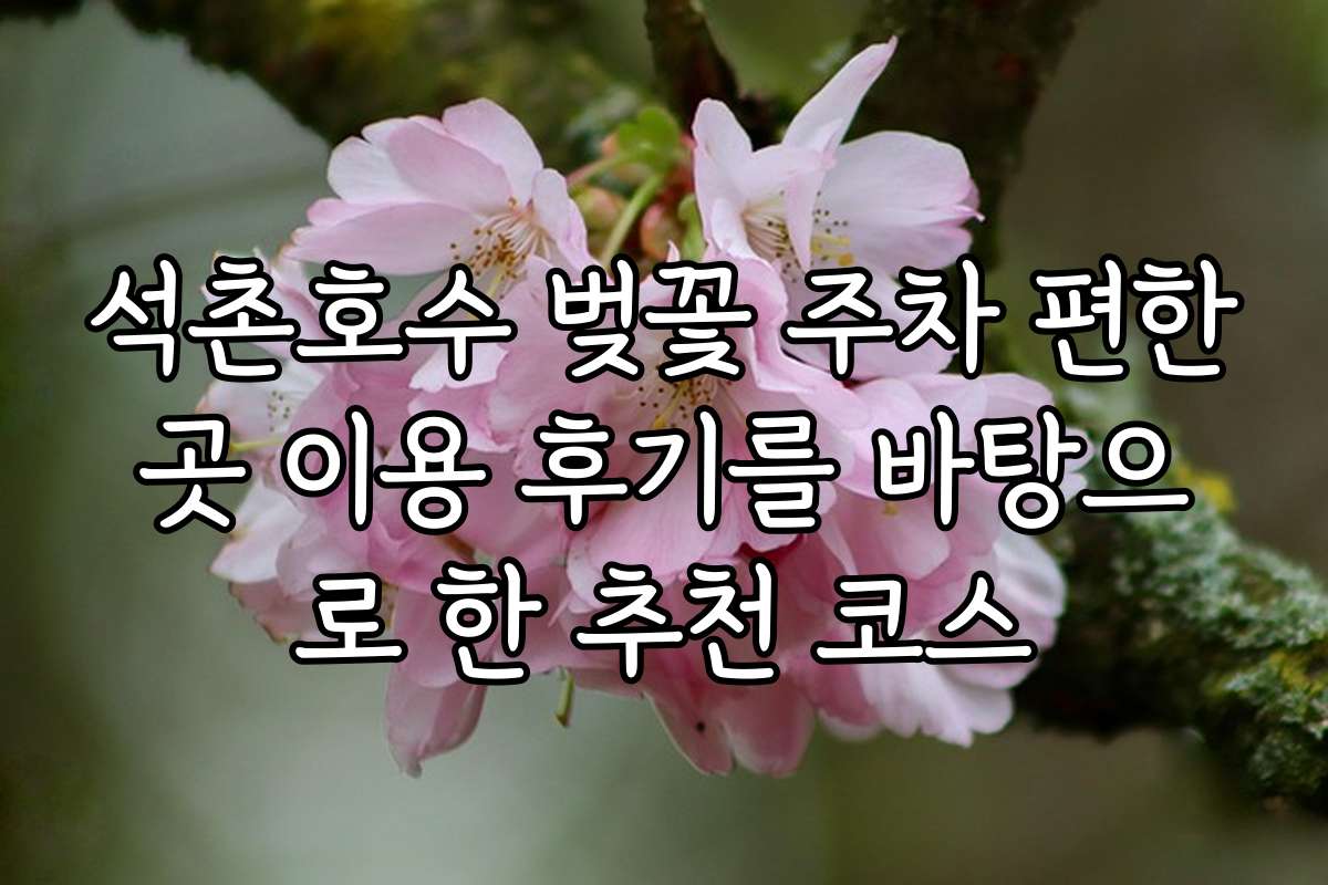 석촌호수 벚꽃 주차 편한곳 이용 후기를 바탕으로 한 추천 코스 석촌호수 벚꽃 주차 편한곳 이용 후기를 바탕으로 한 추천 코스