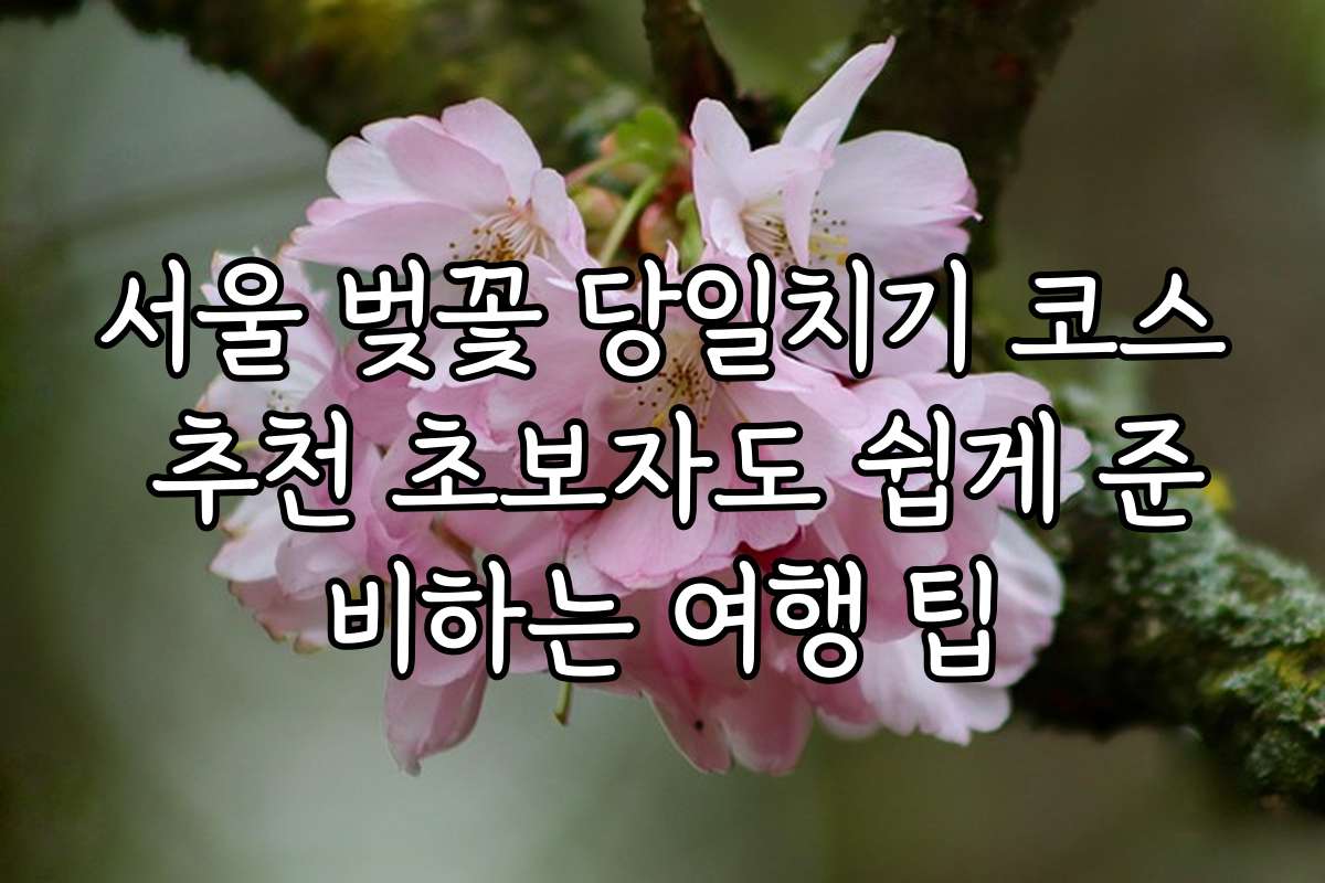 서울 벚꽃 당일치기 코스 추천 초보자도 쉽게 준비하는 여행 팁