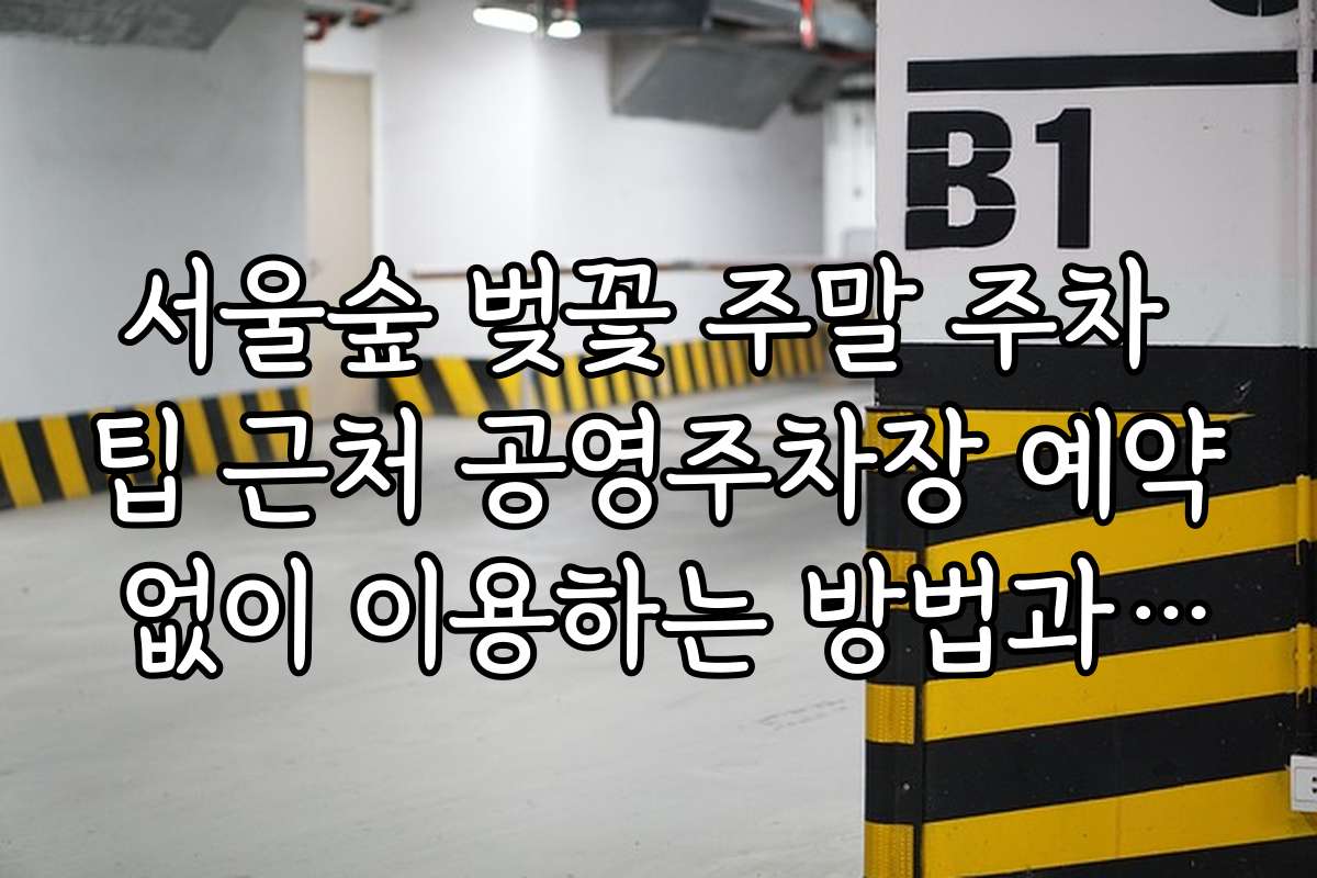 서울숲 벚꽃 주말 주차 팁 근처 공영주차장 예약 없이 이용하는 방법과 팁