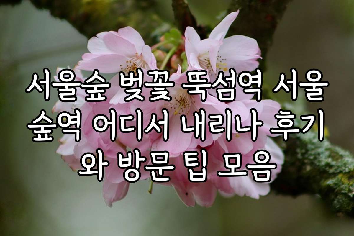 서울숲 벚꽃 뚝섬역 서울숲역 어디서 내리나 후기와 방문 팁 모음
