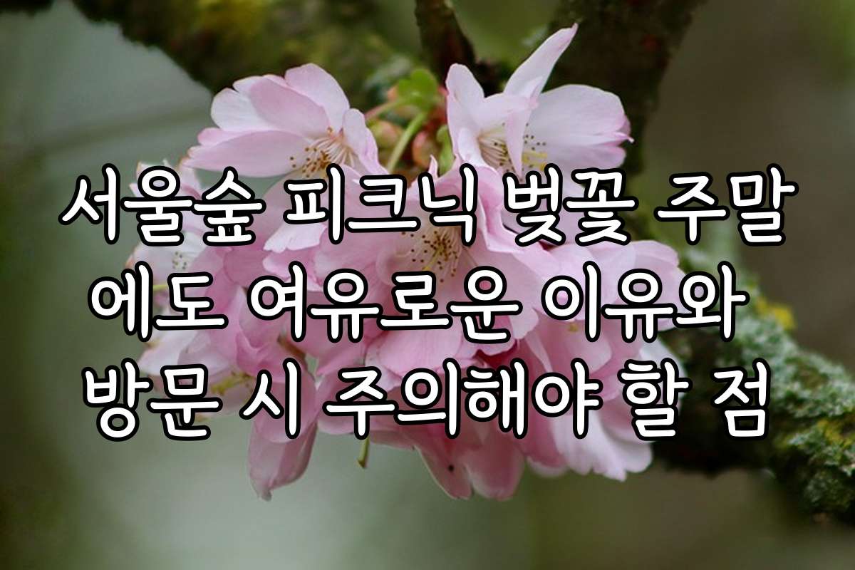 서울숲 피크닉 벚꽃 주말에도 여유로운 이유와 방문 시 주의해야 할 점