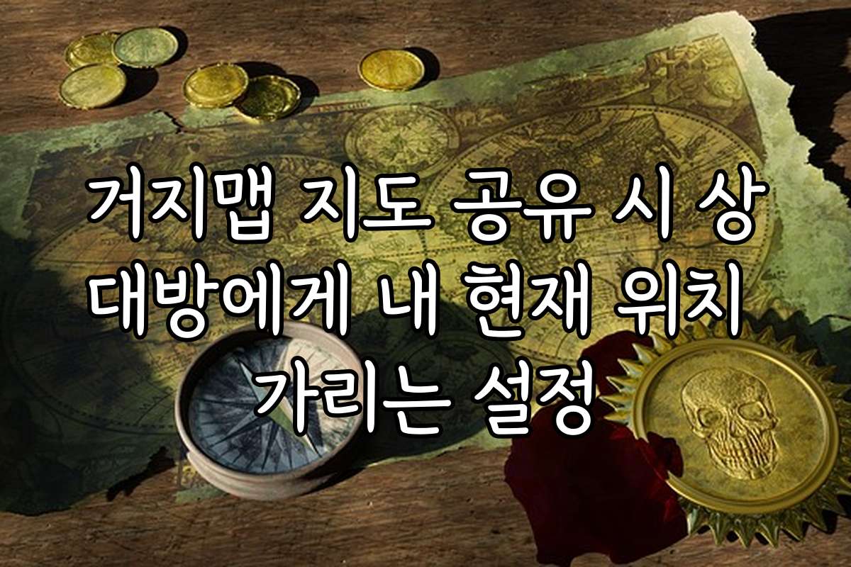 거지맵 지도 공유 시 상대방에게 내 현재 위치 가리는 설정