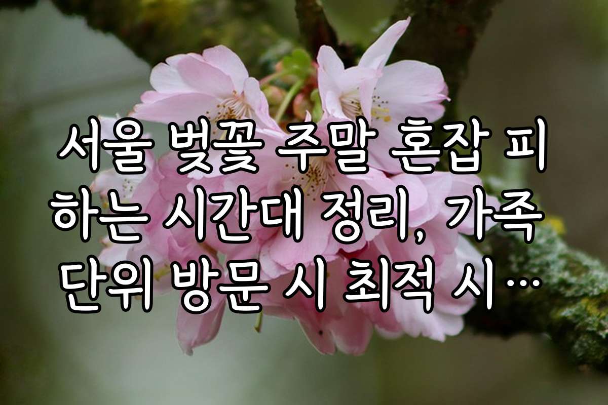 서울 벚꽃 주말 혼잡 피하는 시간대 정리, 가족 단위 방문 시 최적 시간대 알아보기