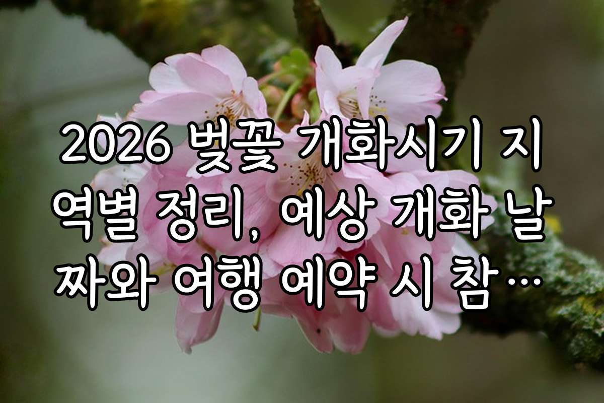 2026 벚꽃 개화시기 지역별 정리, 예상 개화 날짜와 여행 예약 시 참고하세요