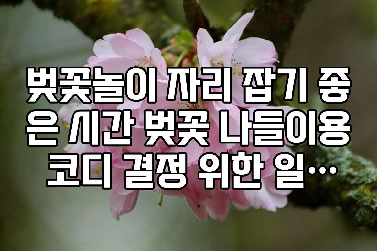 벚꽃놀이 자리 잡기 좋은 시간 벚꽃 나들이용 코디 결정 위한 일교차 시각