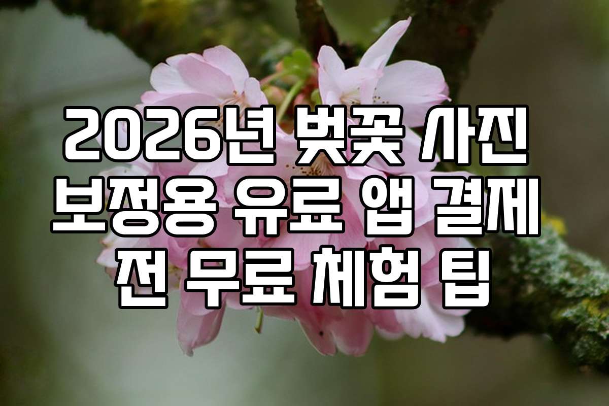 2026년 벚꽃 사진 보정용 유료 앱 결제 전 무료 체험 팁