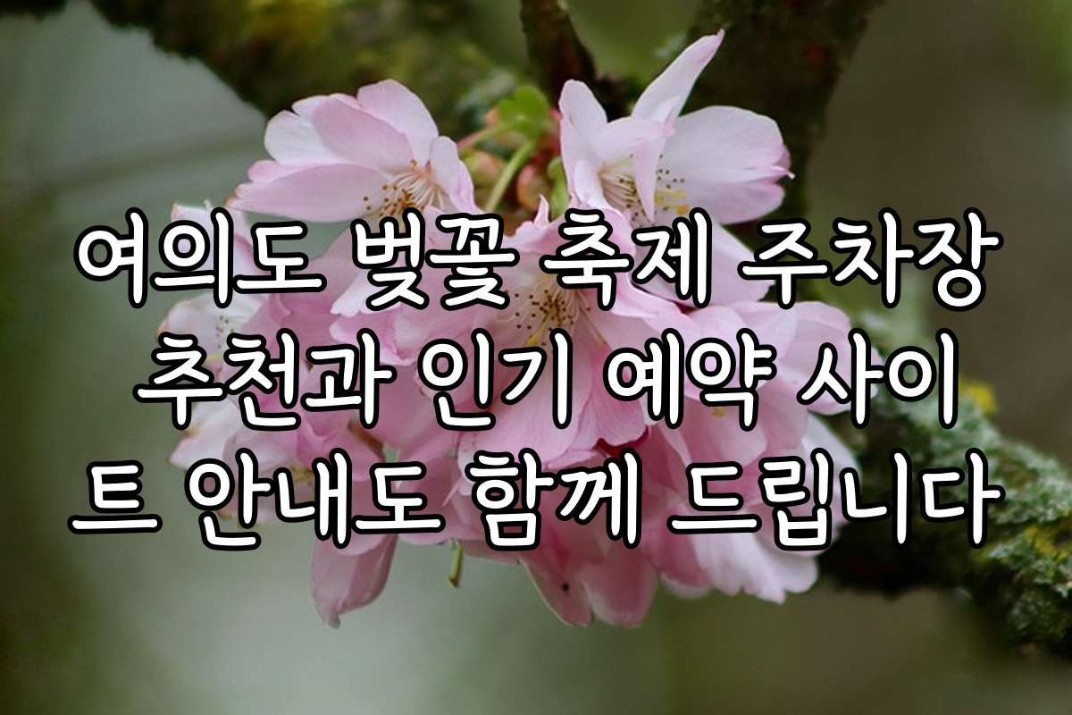 여의도 벚꽃 축제 주차장 추천과 인기 예약 사이트 안내도 함께 드립니다 여의도 벚꽃 축제 주차장 추천과 인기 예약 사이트 안내도 함께 드립니다