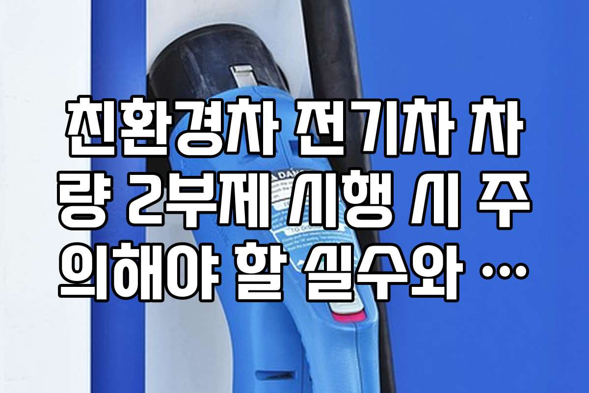 친환경차 전기차 차량 2부제 시행 시 주의해야 할 실수와 주의사항을 정리한다 친환경차 전기차 차량 2부제 시행 시 주의해야 할 실수와 주의사항을 정리한다