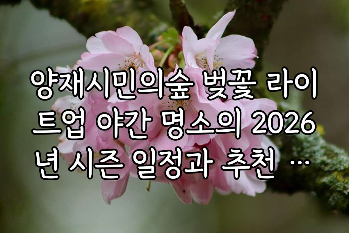 양재시민의숲 벚꽃 라이트업 야간 명소의 2026년 시즌 일정과 추천 방문 시기를 알려드립니다