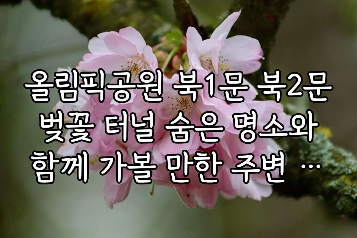 올림픽공원 북1문 북2문 벚꽃 터널 숨은 명소와 함께 가볼 만한 주변 명소는 어디인가요