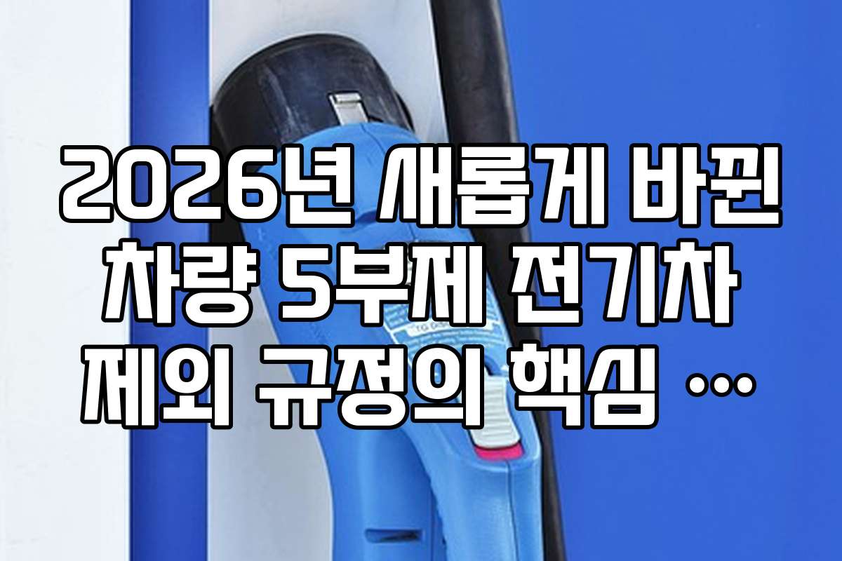 2026년 새롭게 바뀐 차량 5부제 전기차 제외 규정의 핵심 포인트는 무엇인가요