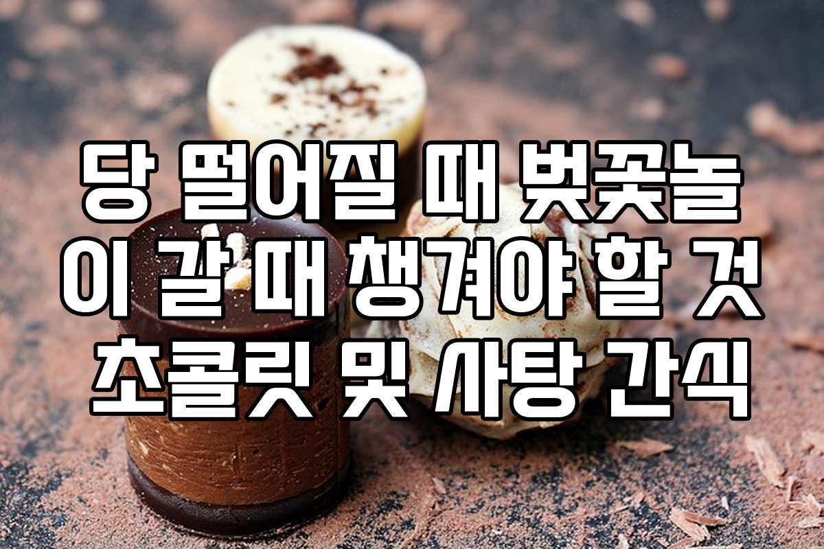 당 떨어질 때 벚꽃놀이 갈 때 챙겨야 할 것 초콜릿 및 사탕 간식