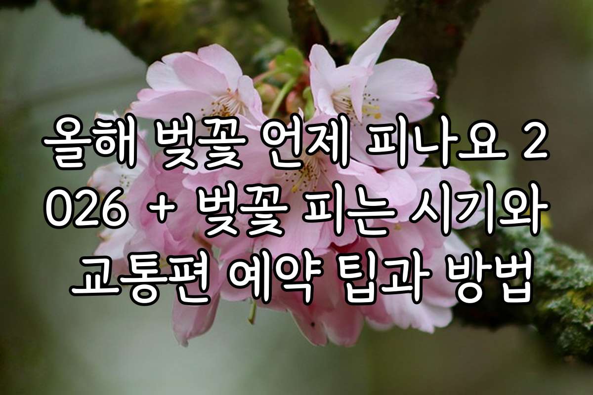 올해 벚꽃 언제 피나요 2026 + 벚꽃 피는 시기와 교통편 예약 팁과 방법