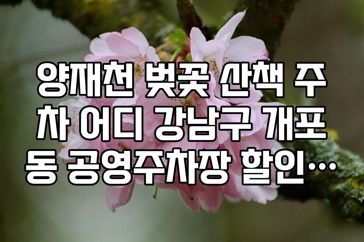 양재천 벚꽃 산책 주차 어디 강남구 개포동 공영주차장 할인 대상