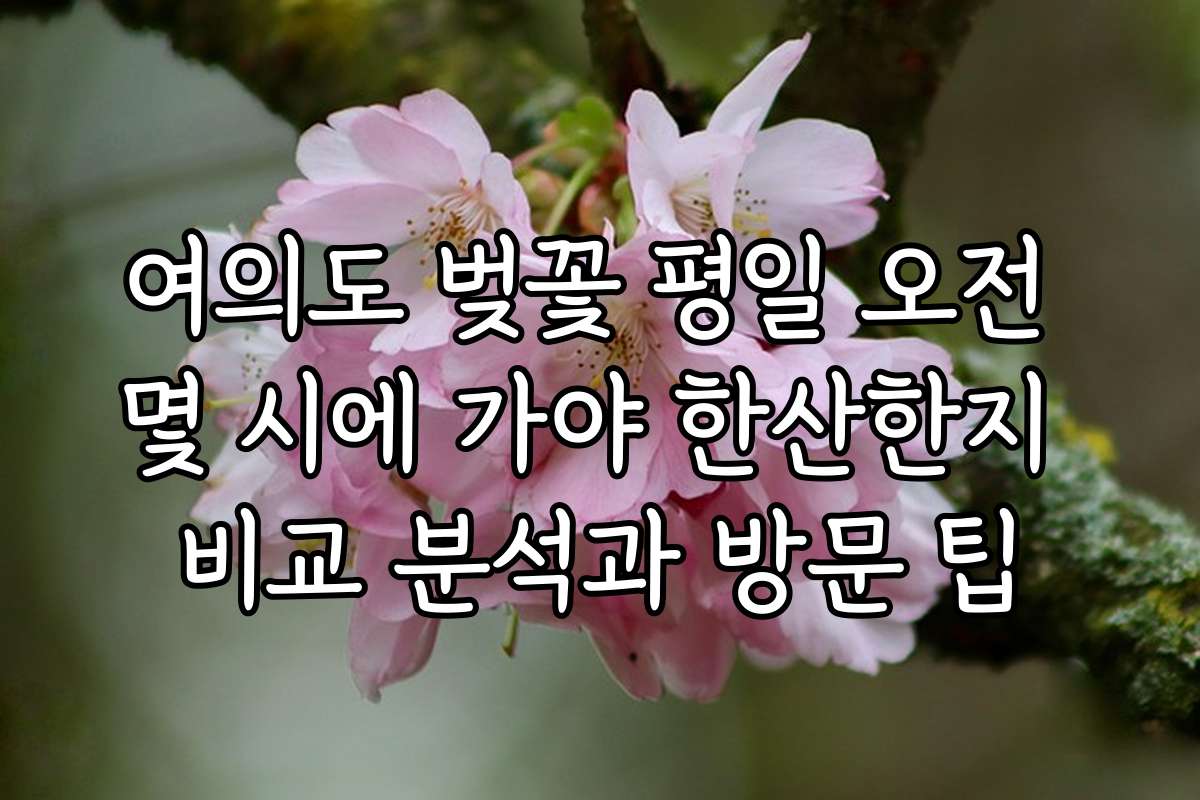 여의도 벚꽃 평일 오전 몇 시에 가야 한산한지 비교 분석과 방문 팁 여의도 벚꽃 평일 오전 몇 시에 가야 한산한지 비교 분석과 방문 팁