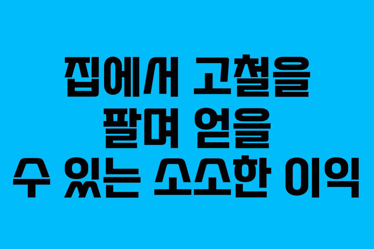 집에서 고철을 팔며 얻을 수 있는 소소한 이익