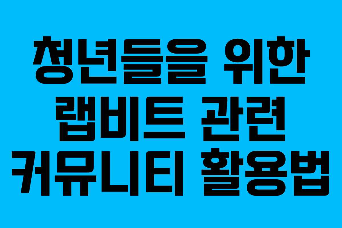 청년들을 위한 랩비트 관련 커뮤니티 활용법