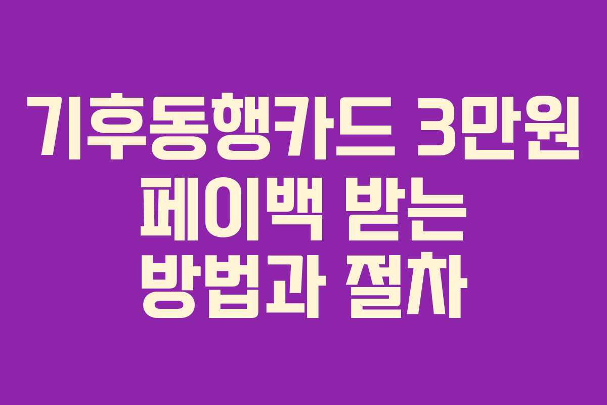 기후동행카드 3만원 페이백 받는 방법과 절차