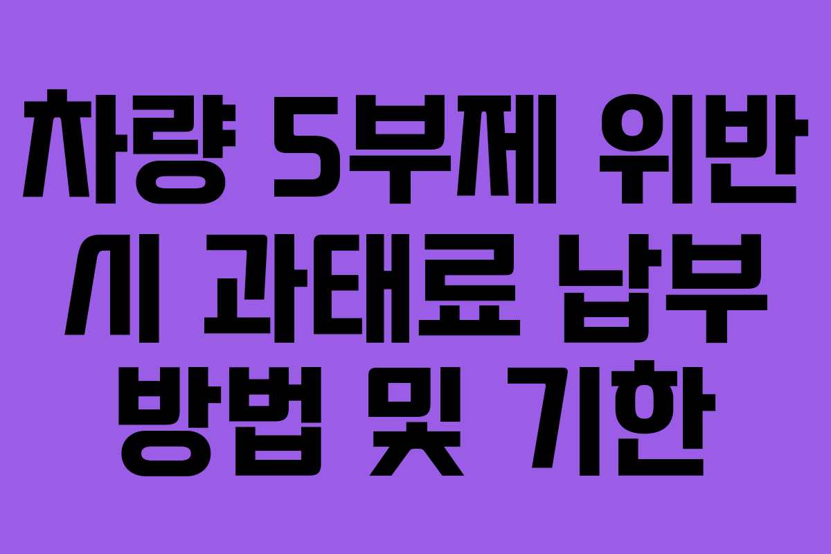 차량 5부제 위반 시 과태료 납부 방법 및 기한