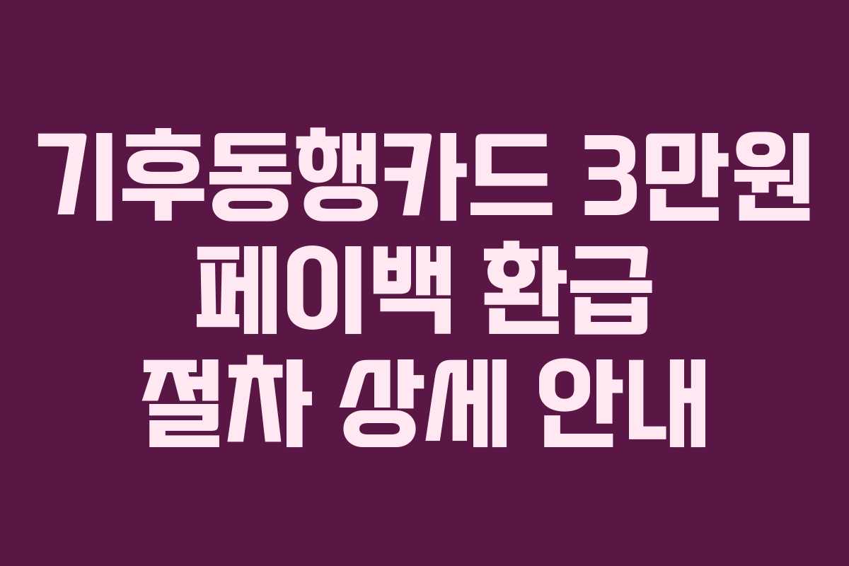 기후동행카드 3만원 페이백 환급 절차 상세 안내