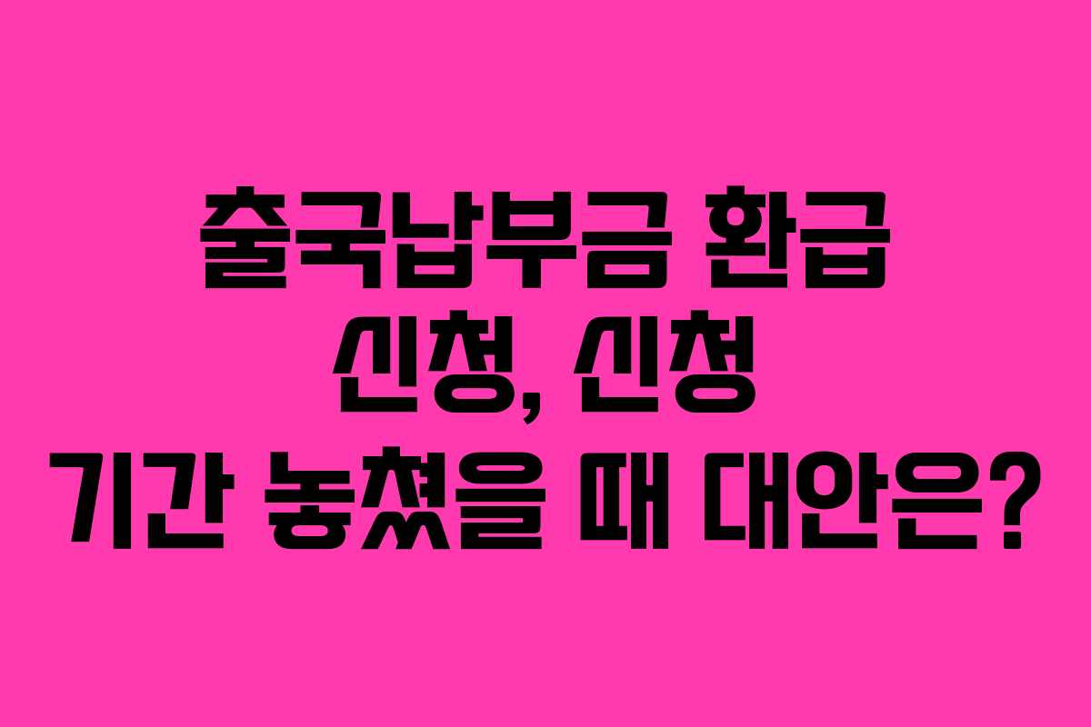 출국납부금 환급 신청, 신청 기간 놓쳤을 때 대안은?