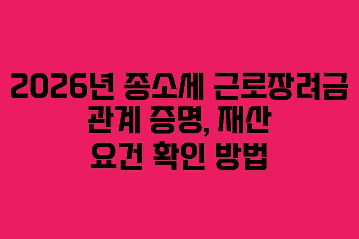 2026년 종소세 근로장려금 관계 증명, 재산 요건 확인 방법