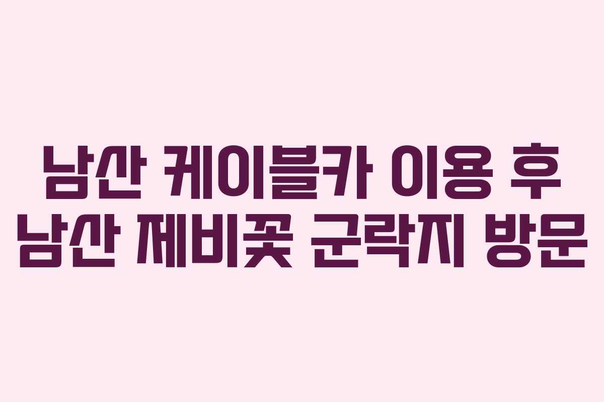 남산 케이블카 이용 후 남산 제비꽃 군락지 방문