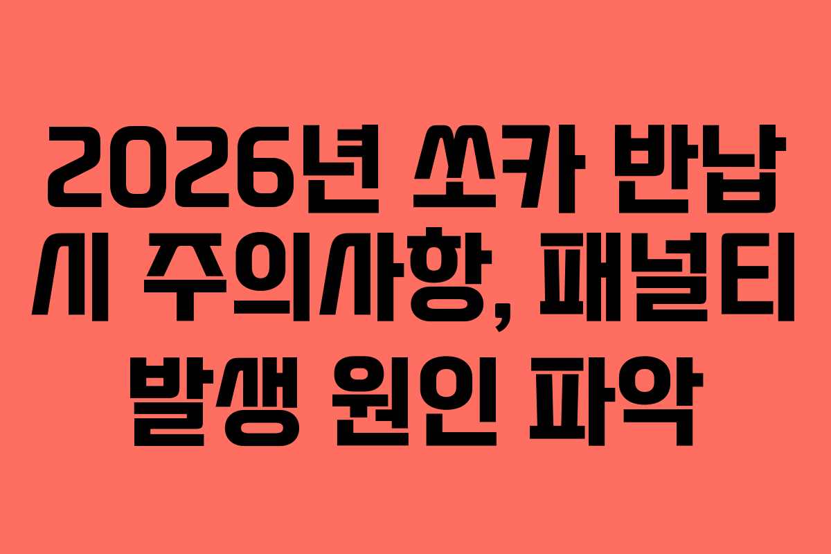 2026년 쏘카 반납 시 주의사항, 패널티 발생 원인 파악