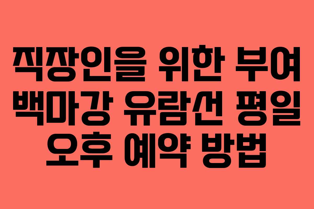 직장인을 위한 부여 백마강 유람선 평일 오후 예약 방법