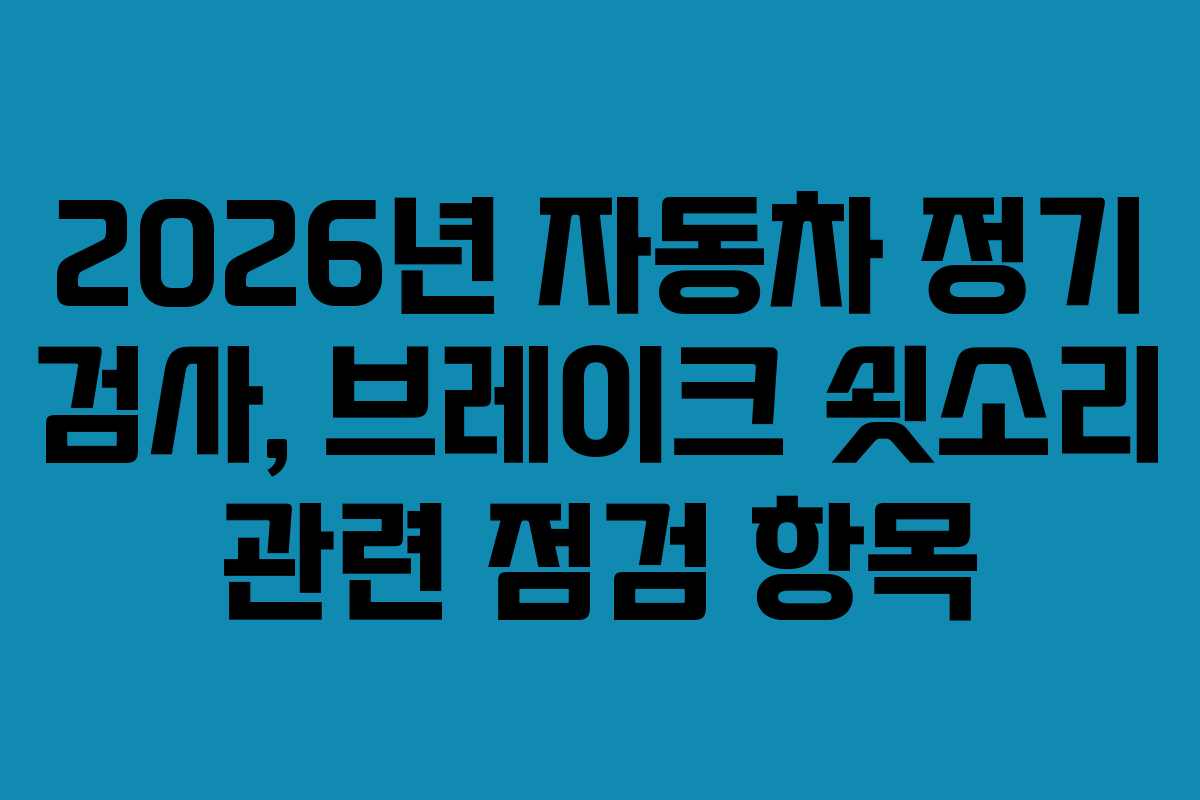 2026년 자동차 정기 검사, 브레이크 쇳소리 관련 점검 항목