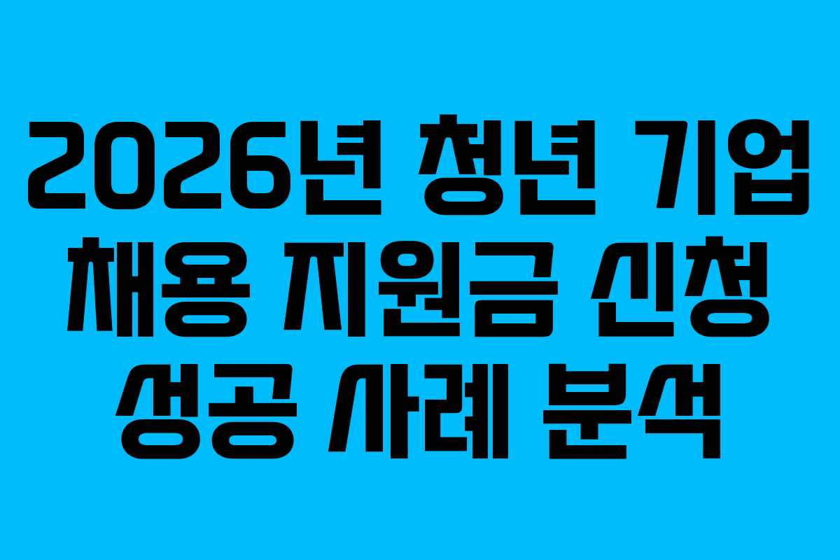 2026년 청년 기업 채용 지원금 신청 성공 사례 분석