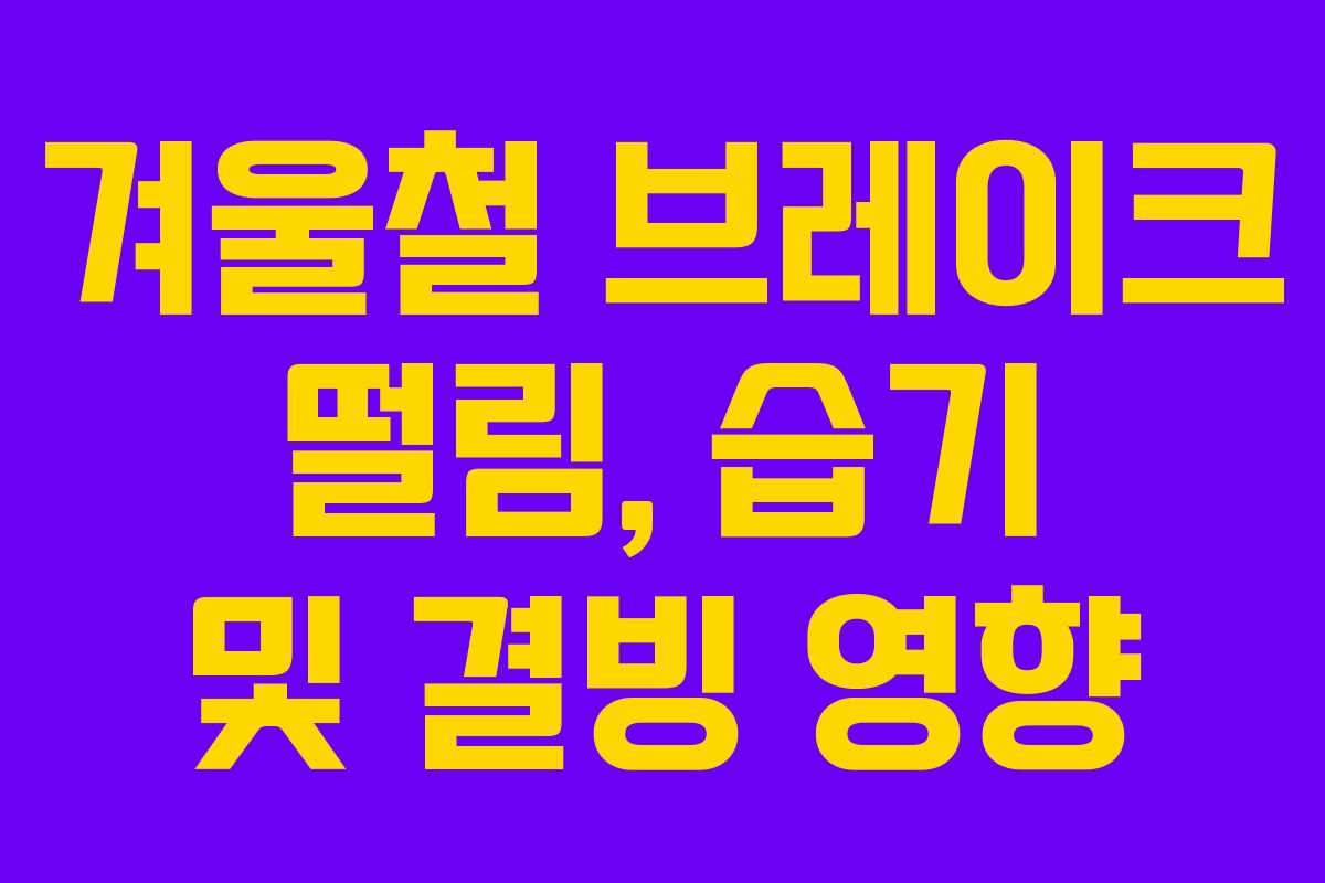 겨울철 브레이크 떨림, 습기 및 결빙 영향