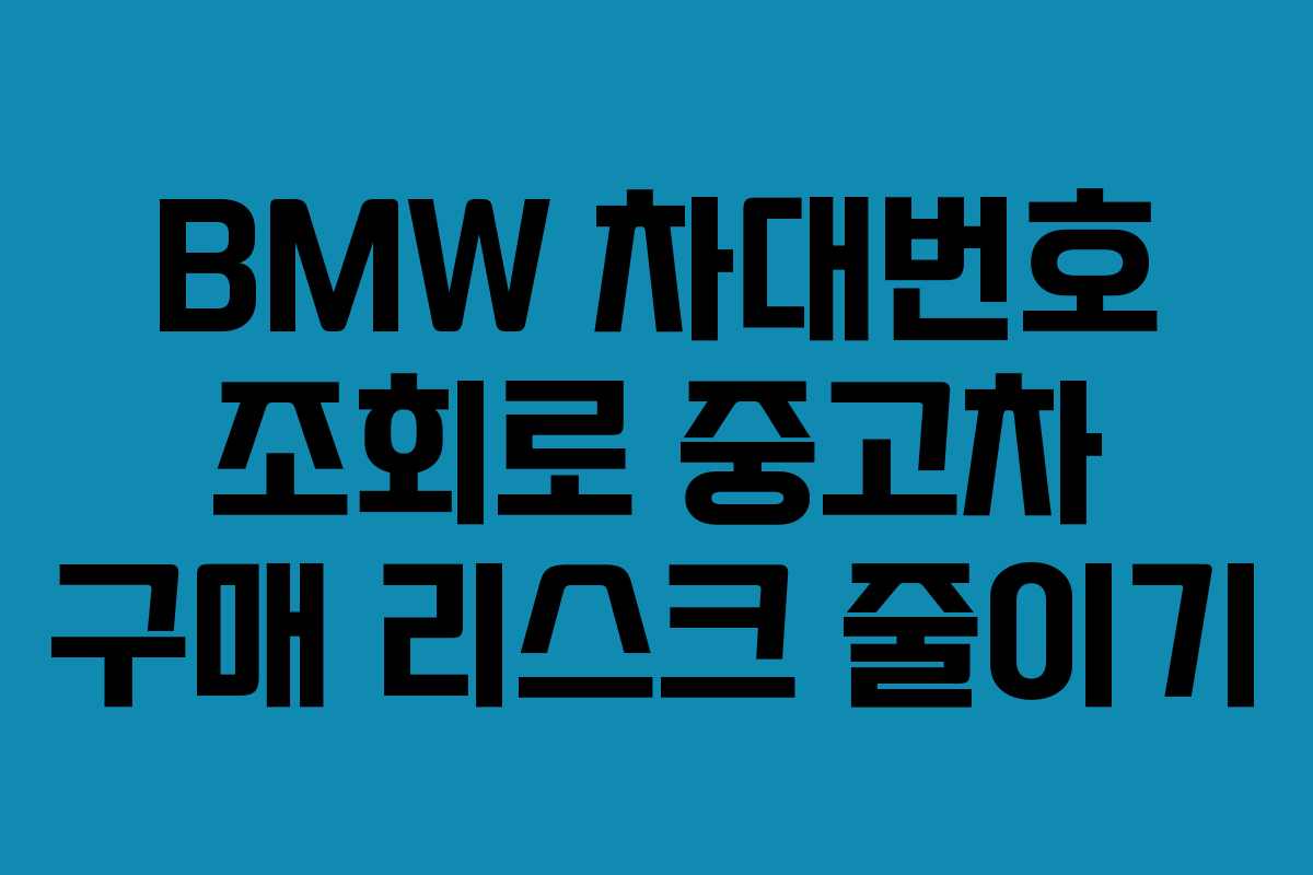 BMW 차대번호 조회로 중고차 구매 리스크 줄이기