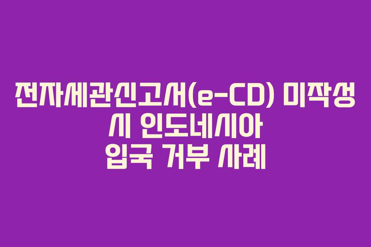 전자세관신고서(e-CD) 미작성 시 인도네시아 입국 거부 사례